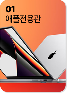 애플전용관